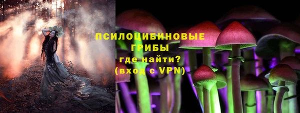 PSILOCYBIN Майский