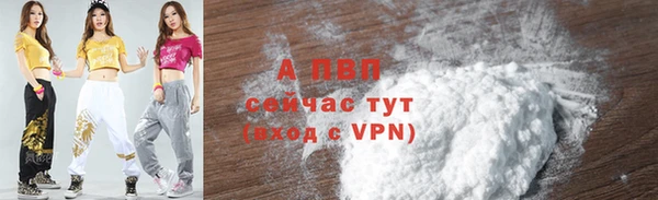 PSILOCYBIN Майский