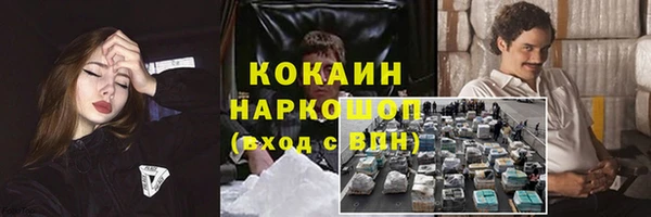PSILOCYBIN Майский