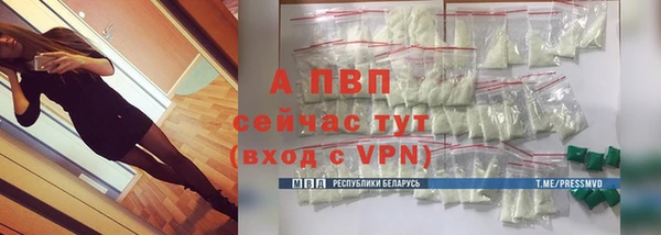 PSILOCYBIN Майский