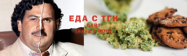 шишки Магас