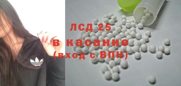 шишки Магас