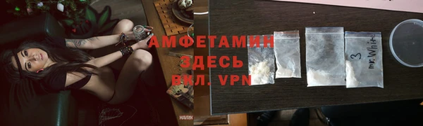 шишки Магас