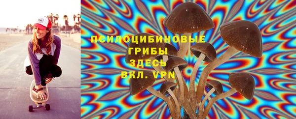PSILOCYBIN Майский