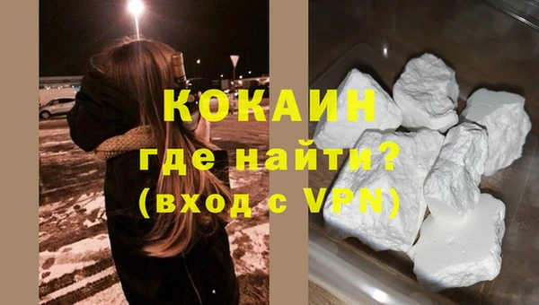 PSILOCYBIN Майский