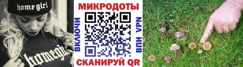 Галлюциногенные грибы Psilocybine cubensis  Владимир 